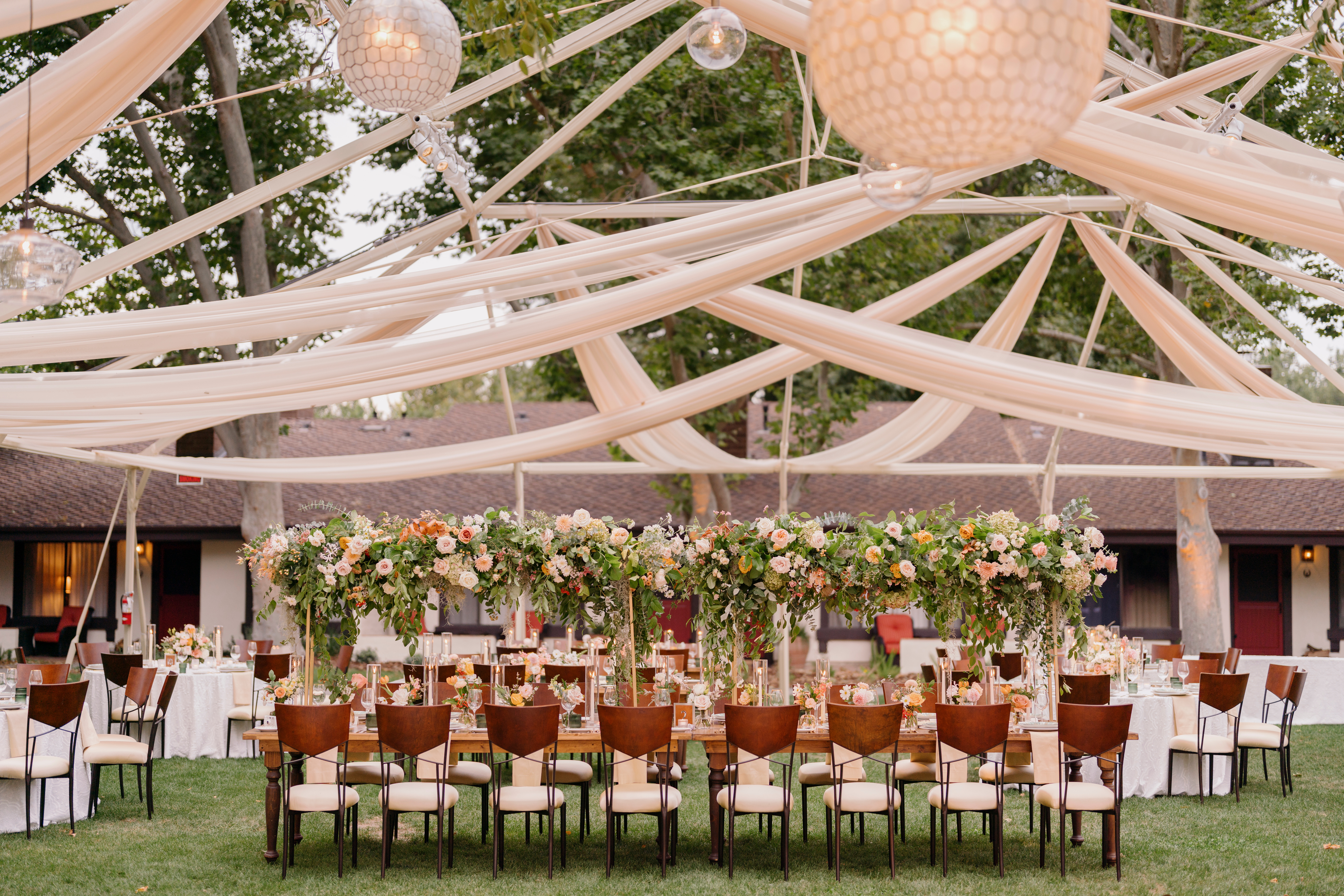 Tenting with draping 